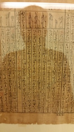 A preserved papyrus (how, I don't know) at the Egyptian Museum, one of the largest collection of Egyptian antiquities in the world.